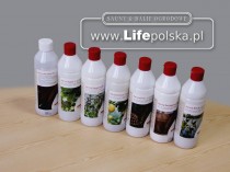 Sauny Ogrodowe www.LifePolska.pl www.sauna-ogrodowa.pl 